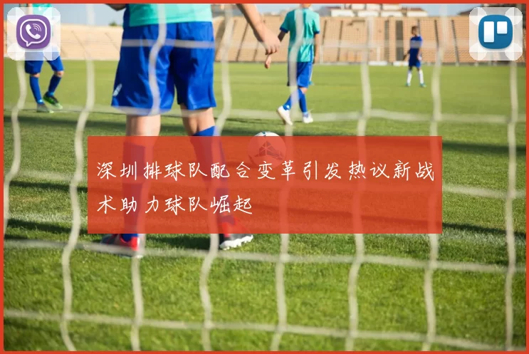深圳排球队配合变革引发热议新战术助力球队崛起
