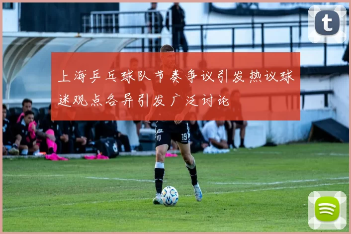 上海乒乓球队节奏争议引发热议球迷观点各异引发广泛讨论