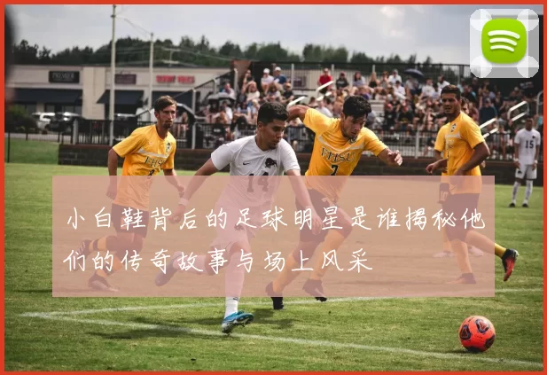 小白鞋背后的足球明星是谁揭秘他们的传奇故事与场上风采
