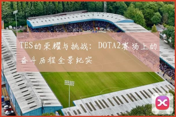 TES的荣耀与挑战：DOTA2赛场上的奋斗历程全景纪实