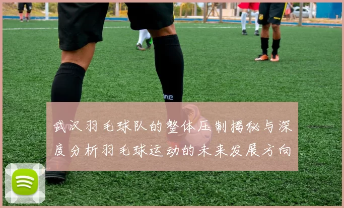 武汉羽毛球队的整体压制揭秘与深度分析羽毛球运动的未来发展方向