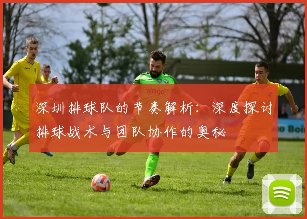 深圳排球队的节奏解析：深度探讨排球战术与团队协作的奥秘