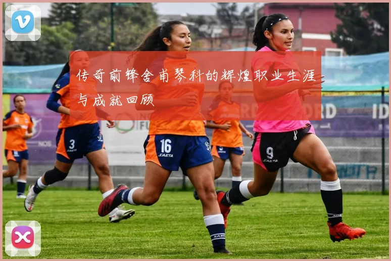 传奇前锋舍甫琴科的辉煌职业生涯与成就回顾