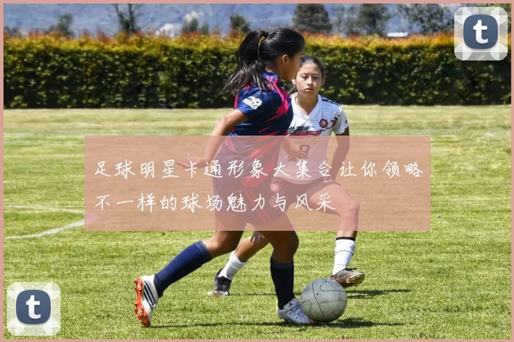 足球明星卡通形象大集合让你领略不一样的球场魅力与风采