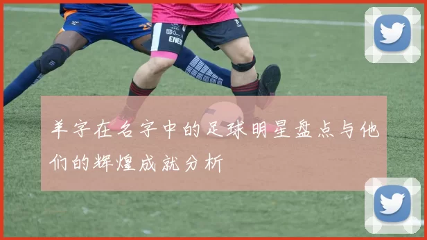 羊字在名字中的足球明星盘点与他们的辉煌成就分析