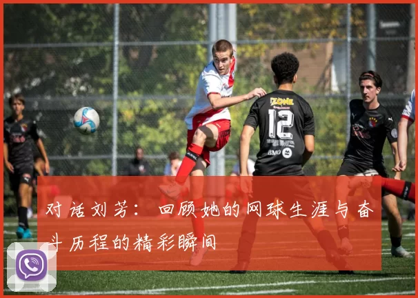 对话刘芳：回顾她的网球生涯与奋斗历程的精彩瞬间