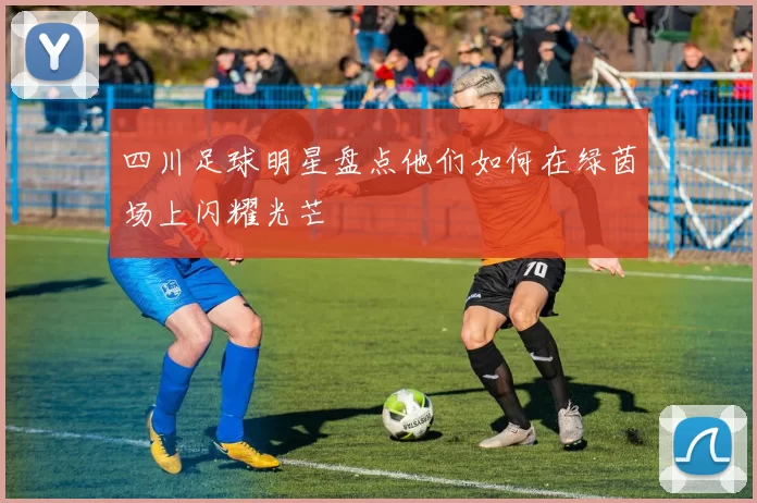 四川足球明星盘点他们如何在绿茵场上闪耀光芒