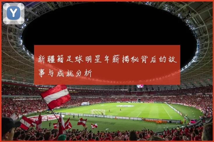 新疆籍足球明星年薪揭秘背后的故事与成就分析