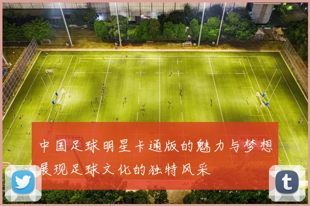 中国足球明星卡通版的魅力与梦想展现足球文化的独特风采