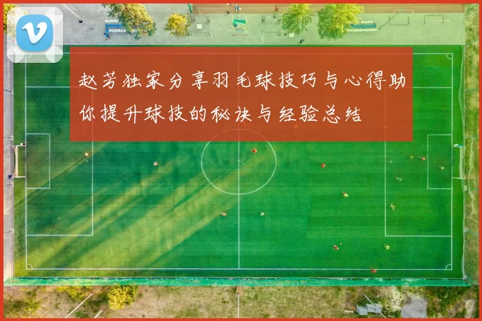 赵芳独家分享羽毛球技巧与心得助你提升球技的秘诀与经验总结