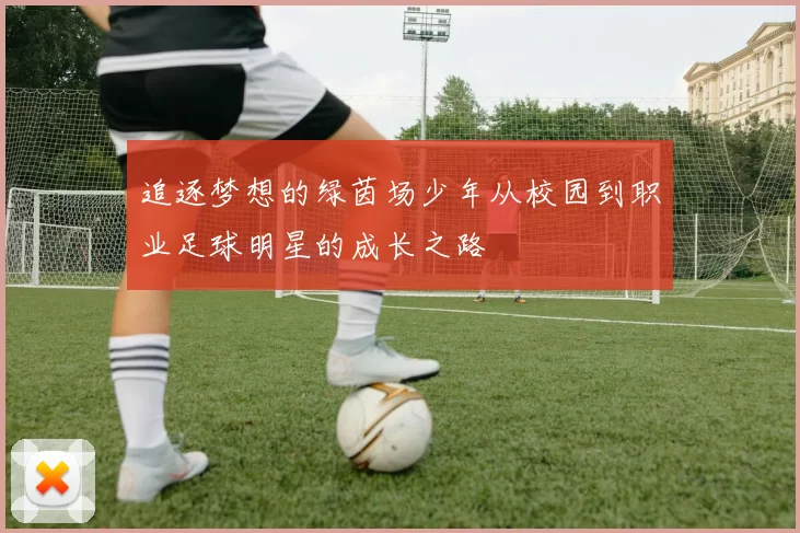 追逐梦想的绿茵场少年从校园到职业足球明星的成长之路