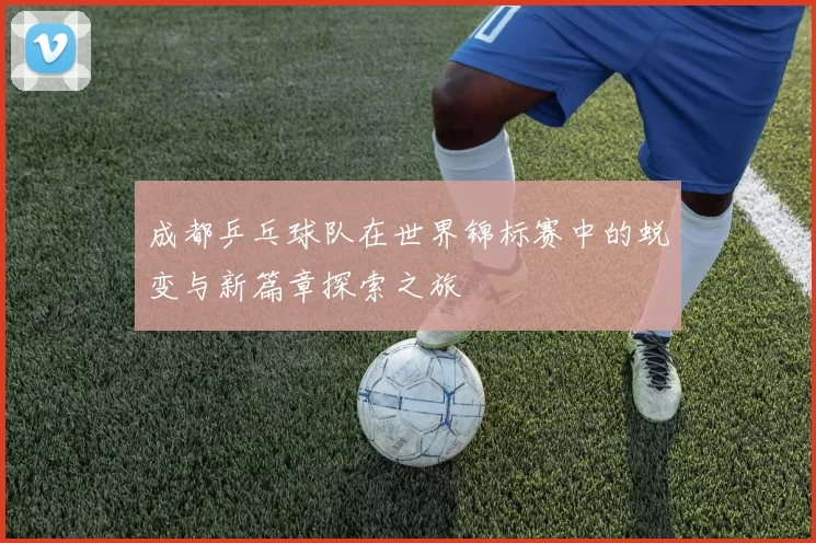 成都乒乓球队在世界锦标赛中的蜕变与新篇章探索之旅