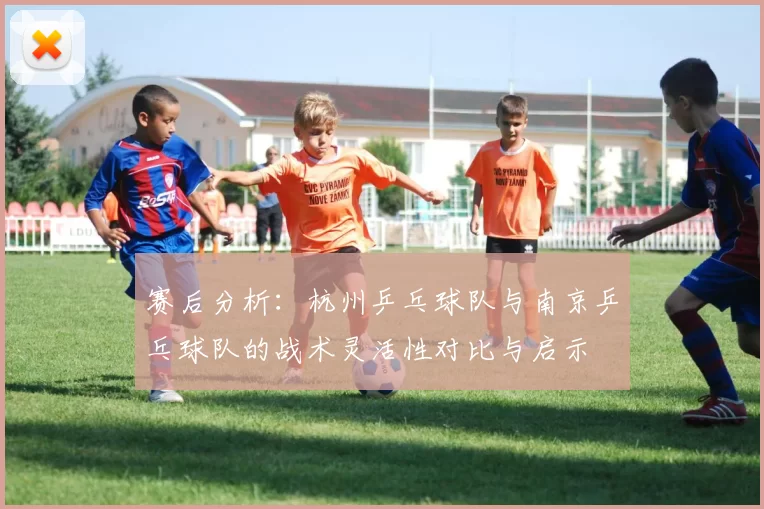赛后分析：杭州乒乓球队与南京乒乓球队的战术灵活性对比与启示