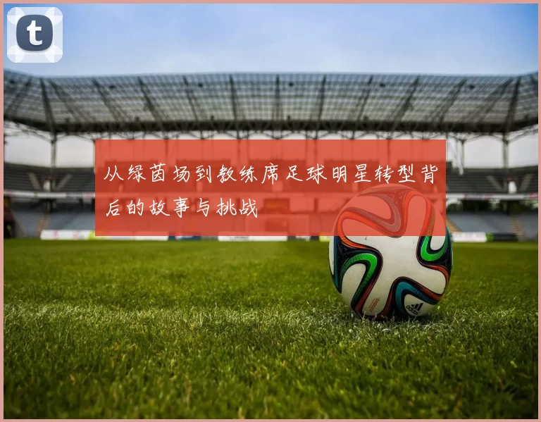 从绿茵场到教练席足球明星转型背后的故事与挑战