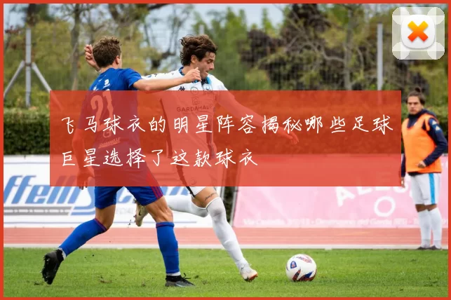 飞马球衣的明星阵容揭秘哪些足球巨星选择了这款球衣