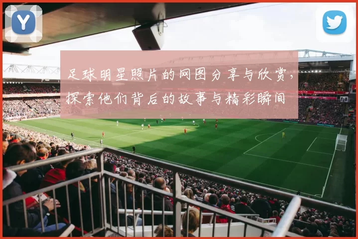 足球明星照片的网图分享与欣赏，探索他们背后的故事与精彩瞬间