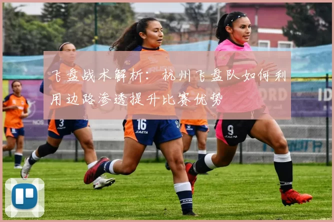 飞盘战术解析：杭州飞盘队如何利用边路渗透提升比赛优势