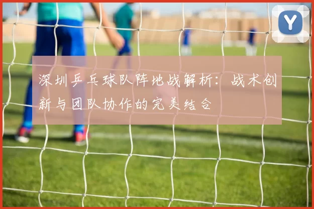 深圳乒乓球队阵地战解析：战术创新与团队协作的完美结合