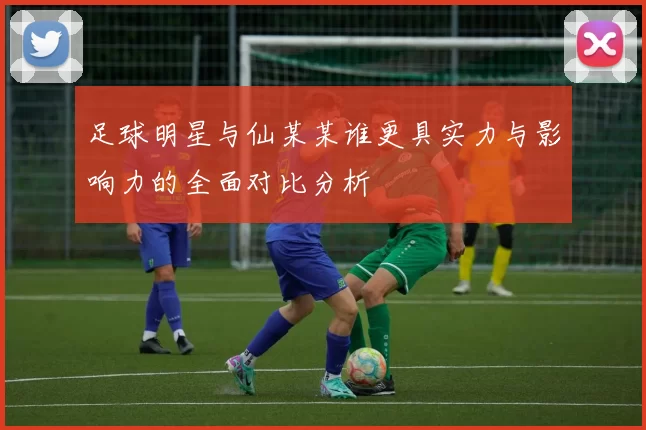 足球明星与仙某某谁更具实力与影响力的全面对比分析
