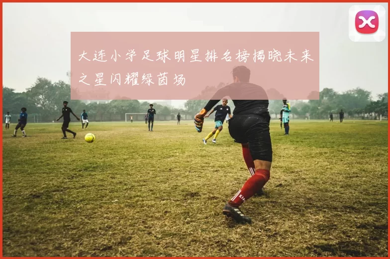 大连小学足球明星排名榜揭晓未来之星闪耀绿茵场
