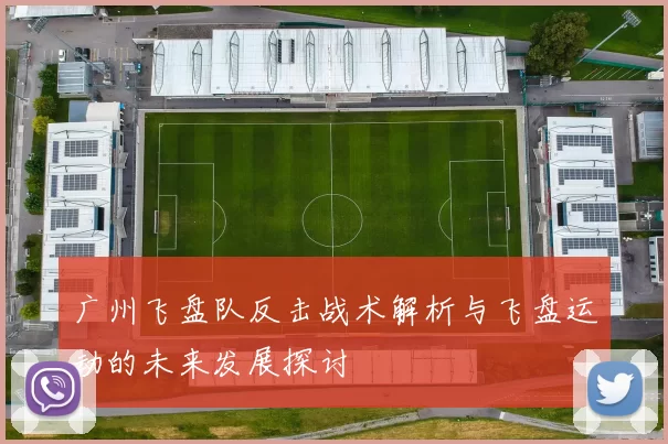 广州飞盘队反击战术解析与飞盘运动的未来发展探讨