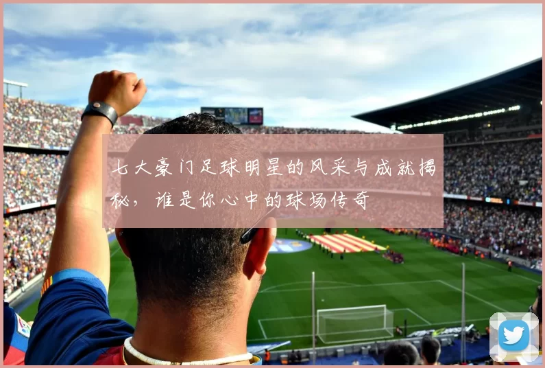七大豪门足球明星的风采与成就揭秘，谁是你心中的球场传奇