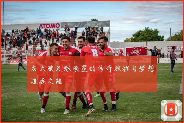 灰太狼足球明星的传奇旅程与梦想追逐之路