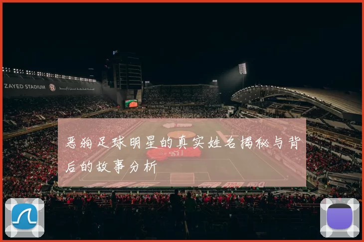 恶狗足球明星的真实姓名揭秘与背后的故事分析