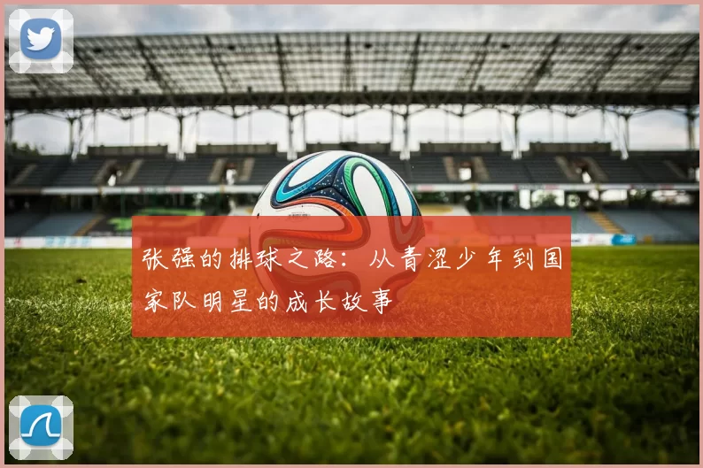 张强的排球之路：从青涩少年到国家队明星的成长故事