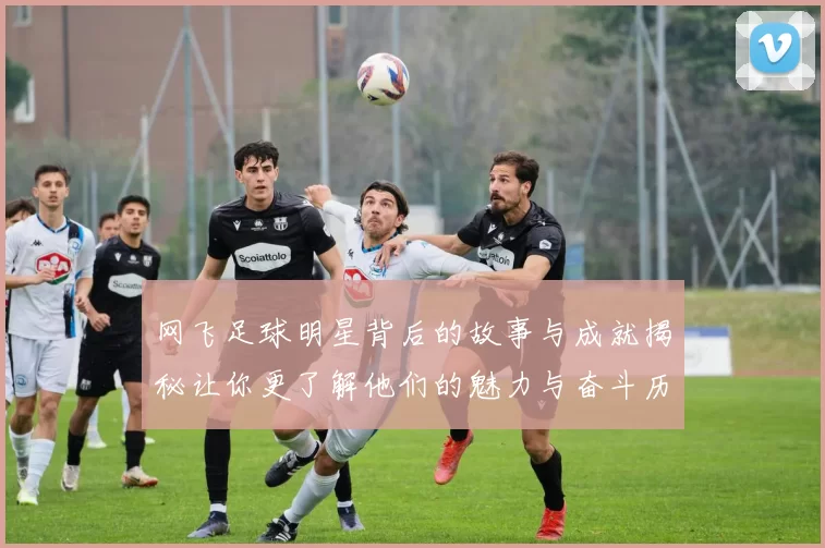 网飞足球明星背后的故事与成就揭秘让你更了解他们的魅力与奋斗历程