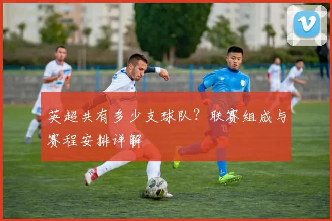 英超共有多少支球队？联赛组成与赛程安排详解