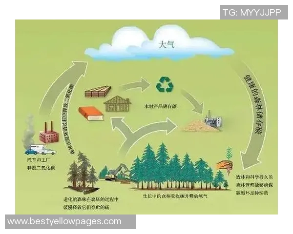 以环境质量提升为核心推动可持续发展路径探索与实践 以环境质量提升为核心推动可持续发展路径探索与实践