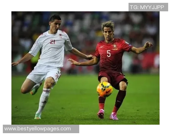 白俄罗斯与荷兰欧预赛赛程分析及比赛前瞻全面解读