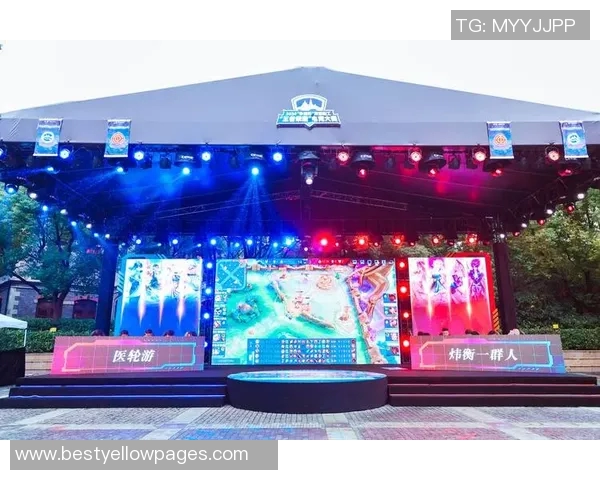 王者荣耀深度解析：WE战队团队协作背后的秘密与策略探讨