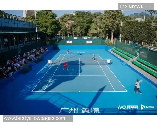 重庆网球队在新老交替中的挑战与机遇分析