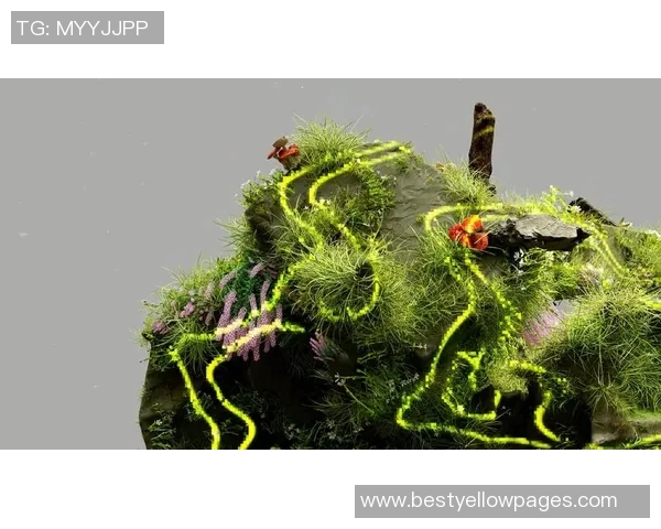 深度对话:吴娜如何在DOTA2世界中找到自我与成长的旅程 深度对话:吴娜如何在DOTA2世界中找到自我与成长的旅程