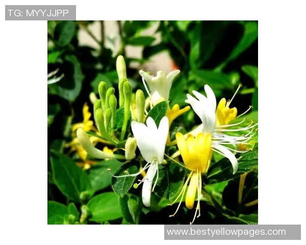 仰泳基本技巧解析与提升方法全面指南,助力游泳技巧突破 仰泳基本技巧解析与提升方法全面指南,助力游泳技巧突破