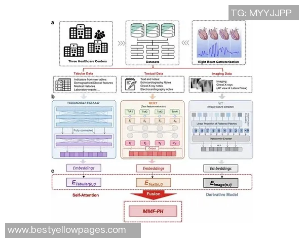 重庆乒乓球队力量表现数据分析揭示运动员潜力与训练效果的深度关系