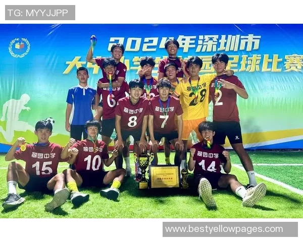 深圳足球队的转型之路:从低谷到巅峰的奋斗与追求